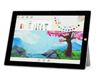 雨湖Surface 无法开启、Windows 无法启动或电池无法充电